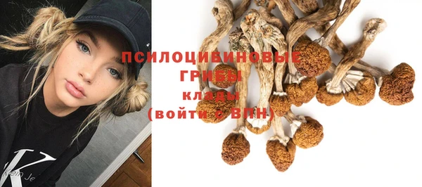 экстази Алзамай