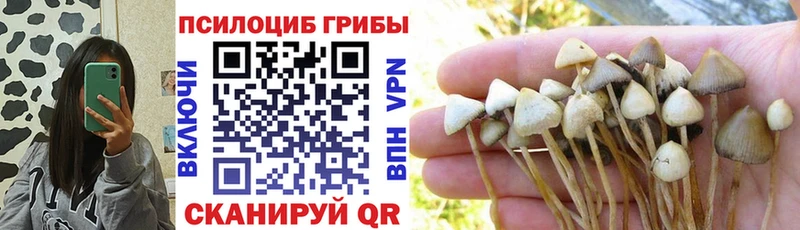 нарко площадка состав  Уфа  Псилоцибиновые грибы Magic Shrooms 