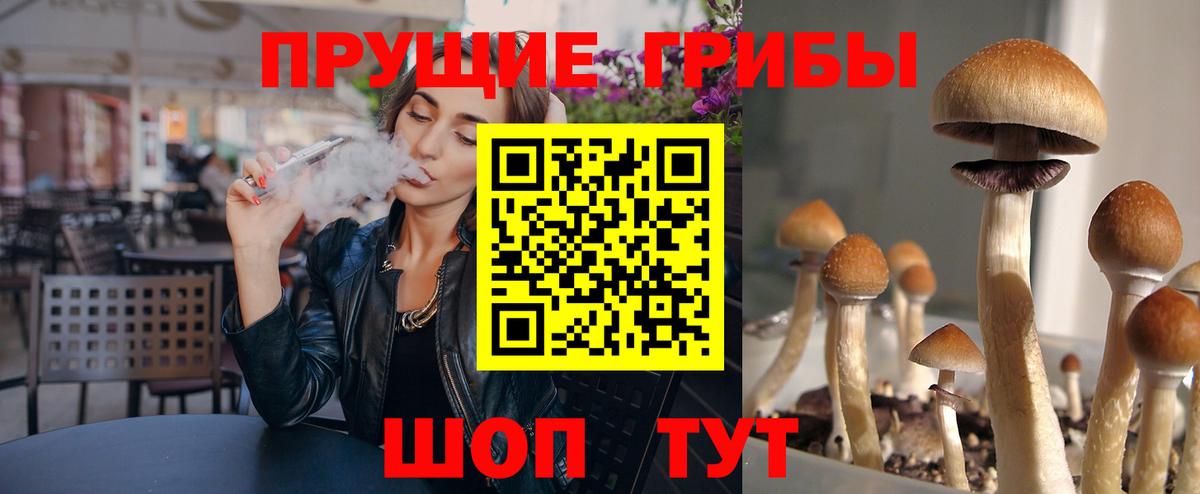 Псилоцибиновые грибы мицелий  Вход с VPN  Уфа 